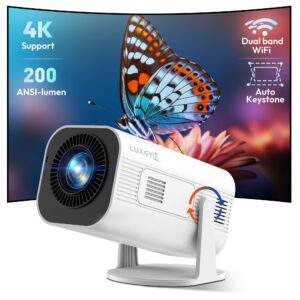 Projector P330